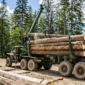 Commander - aplikace pro dřevařské společnosti
